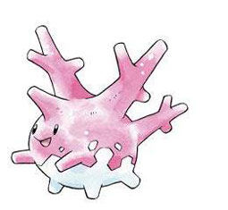 corsola