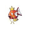 magikarp