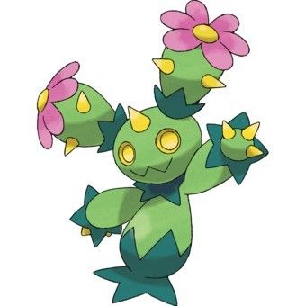 maractus