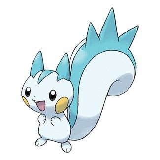 pachirisu