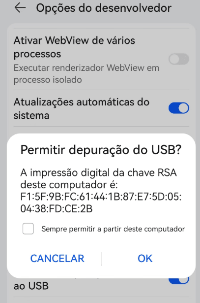 permitir usb depuracao anygo