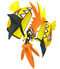 tapu koko