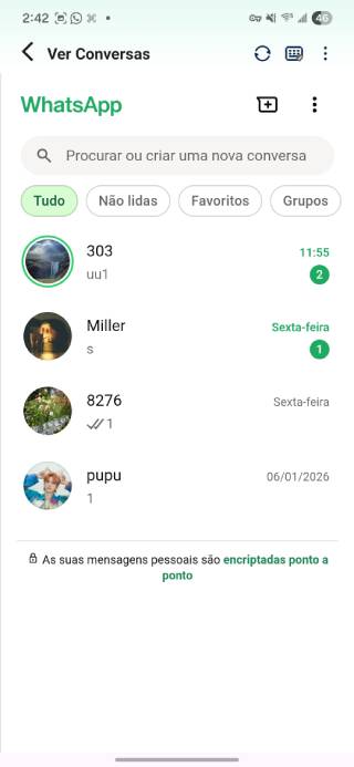 access all whatsapp messages